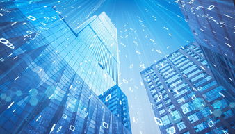 智慧城市建設中的桎梏與反思 以互聯網數據服務為鏡鑒